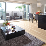 シャリエ大津中央